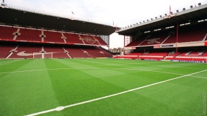 gun__1357902114_highbury_pitch